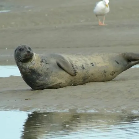 La Discrete Lejlighed