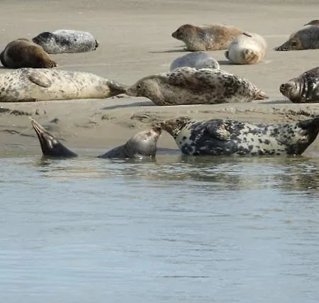 Lejlighed La Discrete