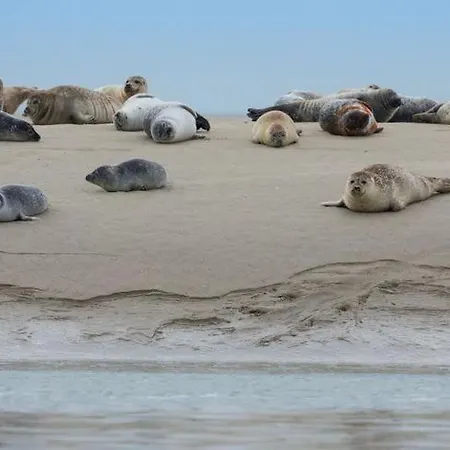 La Discrete Lejlighed *